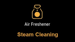 Steam cleaning